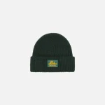 aim leon dore waffle knit beanie in botanical green - KITH-SHOP