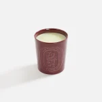 diptyque tubereuse scented candle 600g - KITH-SHOP