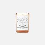 ds durga travel sized woodland fire candle - KITH-SHOP