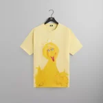 kith x sesame street big bird sunrise graphic tee - KITH-SHOP